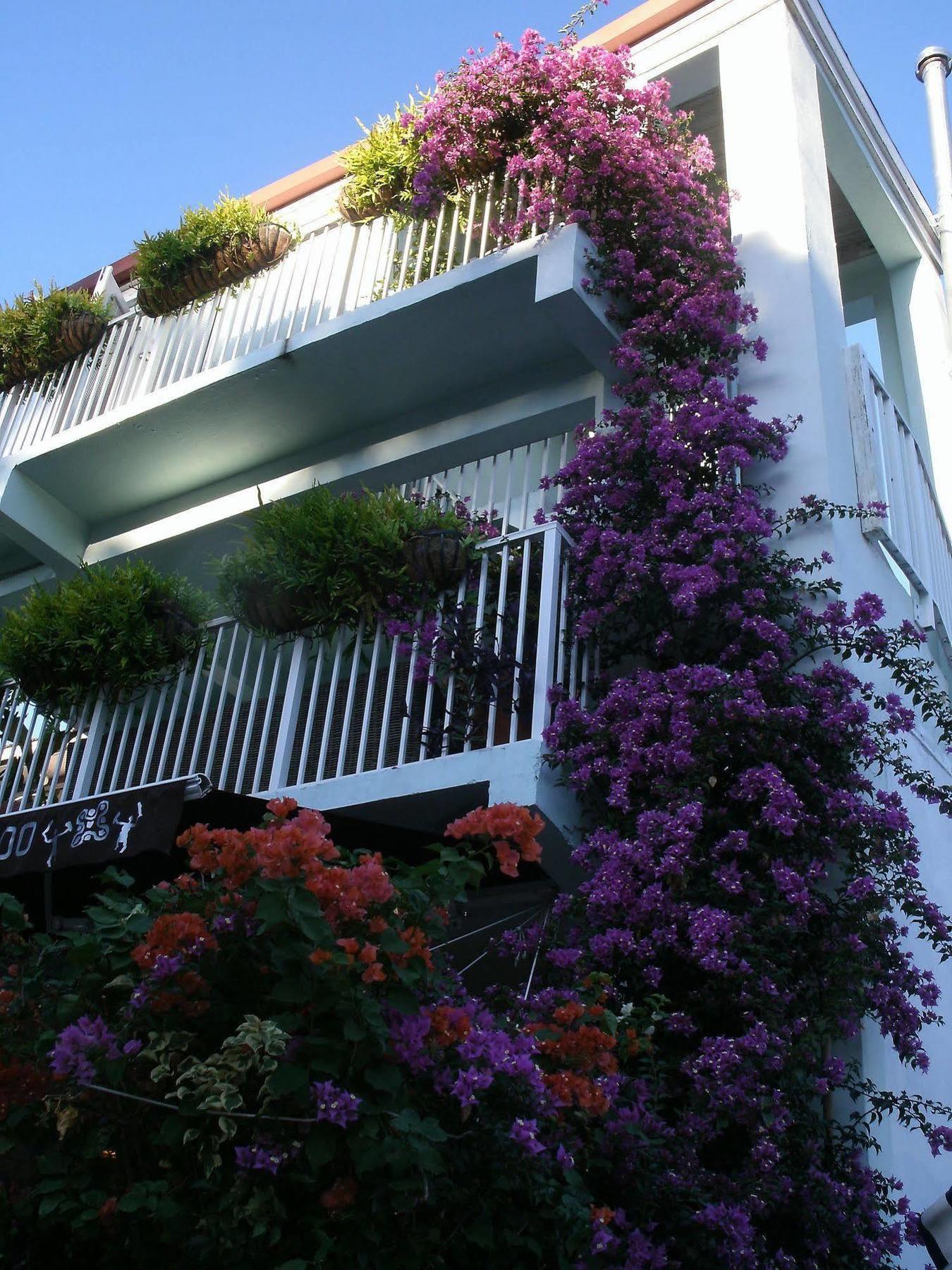 Cruz Bay Boutique Hotel Экстерьер фото